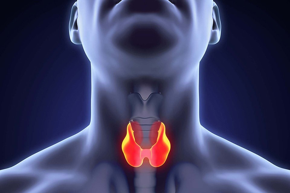 Операции на щитовидной и паращитовидной железе без разреза в клинике Медис