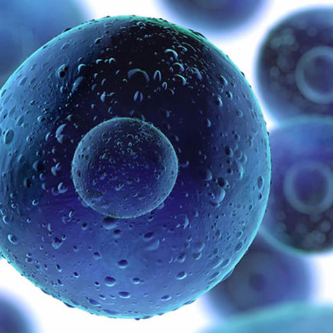 Когда необходима трансплантация стволовых клеток?